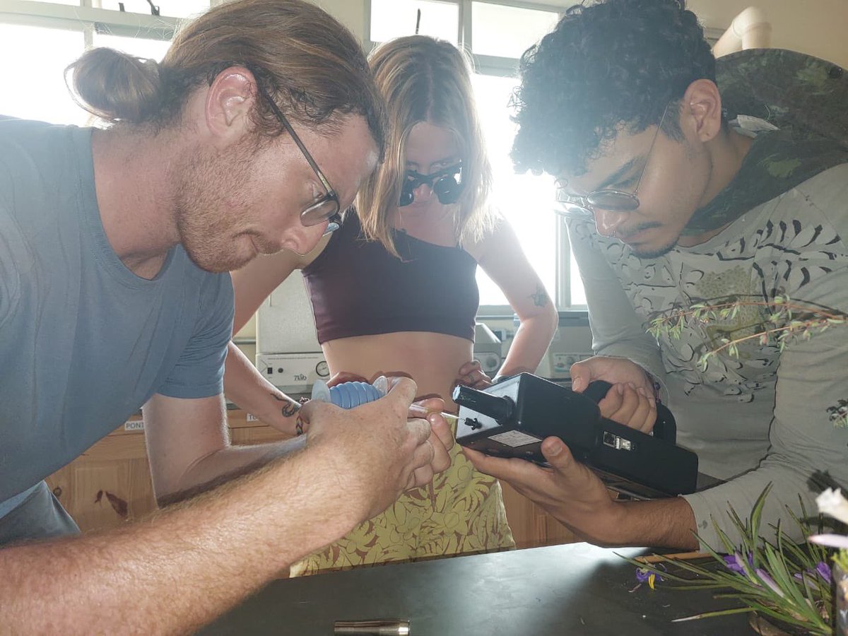 ash kerber tweet media