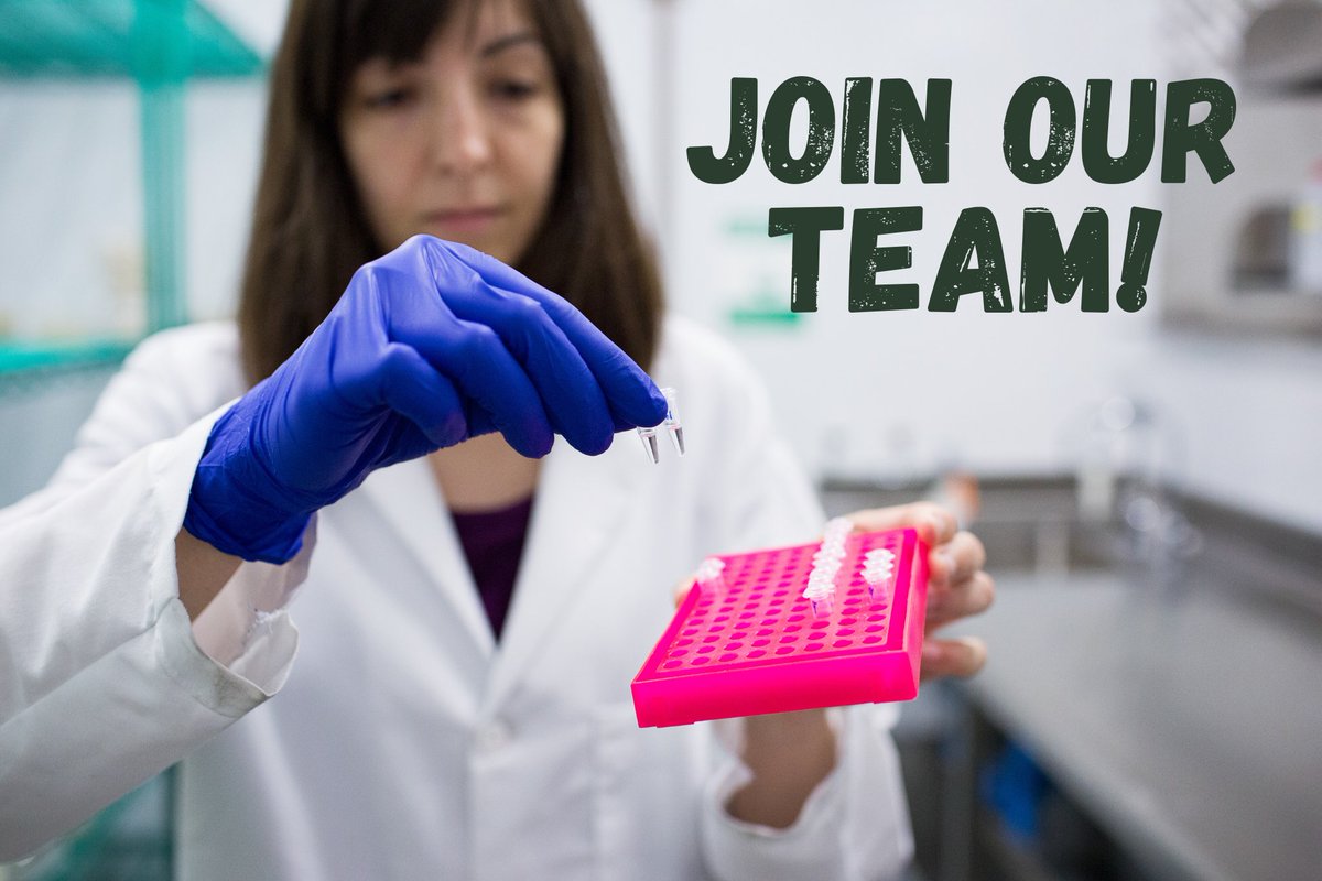 There are currently 3 openings on the RIPE team! The Raines &amp; Cavanagh labs at the University of Essex &amp; the Bernacchi Lab at the University of Illinois are all looking for a new team member!

Read more about the specific jobs on our website: bit.ly/3C2gNKF #plantscijobs