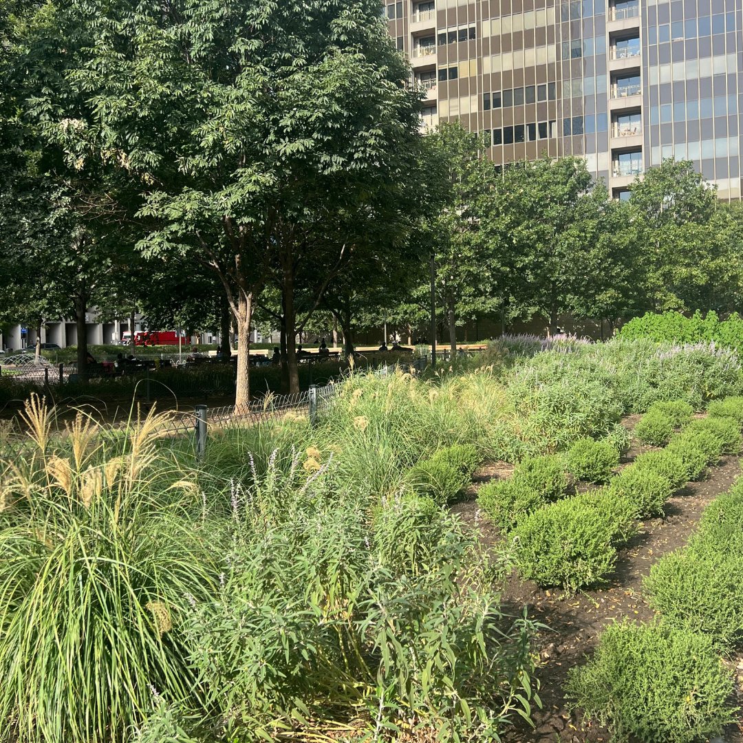 Downtown Dallas Parks Conservancy tweet media