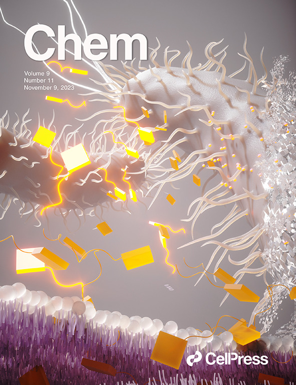 Our November cover depicts the ability of squindoles reported by @rob_elmes @MUMycology @philgale @CSHChem to efficiently transport chloride ions through lipid membranes and thereby disrupt ion homeostasis and result in potent anti-microbial activity. hubs.li/Q028NY320