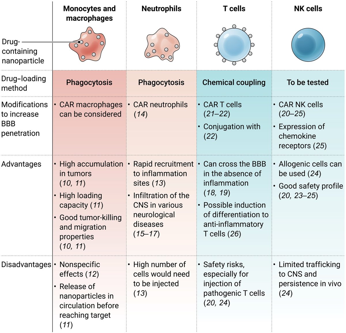 In this week’s #neuroimmunology special issue, Thai and @PratLab explore advances in immune cell carriers that ferry therapeutics across the #BloodBrainBarrier, which are opening a new frontier in #DrugDelivery for central nervous system disorders. @CRCHUM scim.ag/4PP