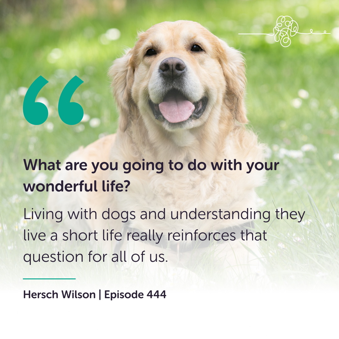 #DYK dogs are brain health superheroes? 🐶 Per @incmagazine, dogs can help reduce stress!🧠 Hersch Wilson (@BravingFires) joins us to talk how dogs guide us to find refuge and peace in this complicated world.🐾 Listen now: open.spotify.com/episode/6TmVev…