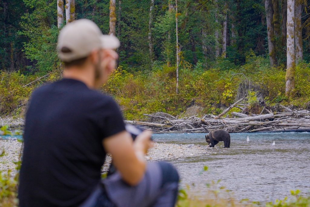 Homalco Wildlife & Cultural Tours tweet media