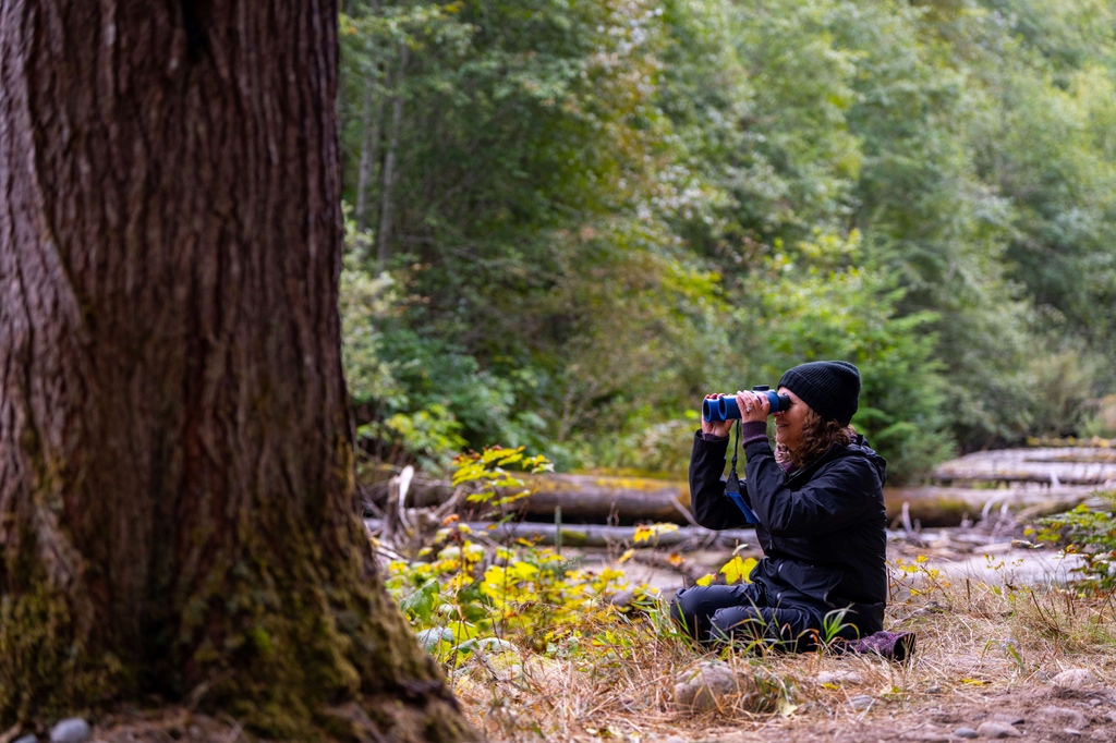 This could be you in our 2024 bear viewing season! Can't wait to see you all again! 

#wildbear #bears #grizzlybear #grizzlies #brownbear #bearviewing #grizzlybearcub #wildlifeviewing #wildlife #wildlifephotography #travelphotography #picoftheday #travelBC