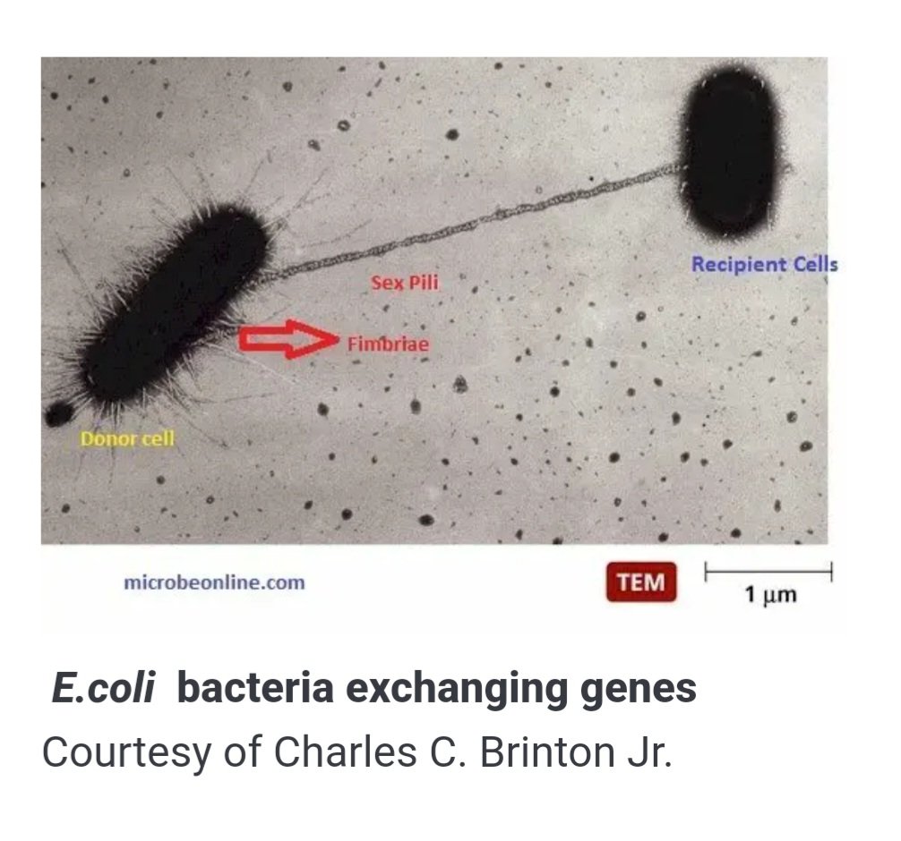 Goldlust Kelly tweet media