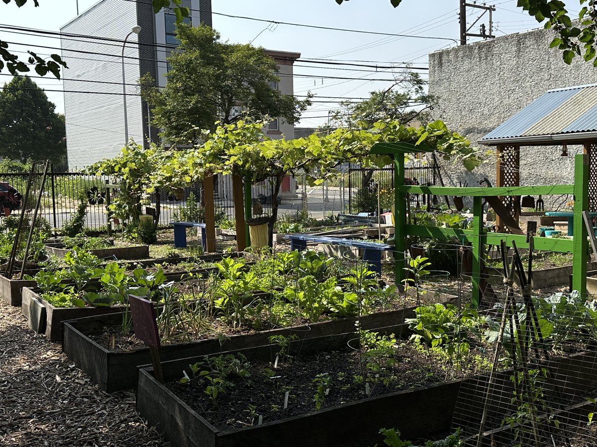 Through Strengthening Cities, Rite Aid Healthy Futures has made a commitment to building hope and progress in our neighborhoods – starting with the food sovereignty and health equity that our communities deserve. Learn more: bit.ly/34pmDcz