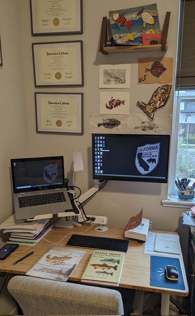 Gabriel Singer, PhD tweet media