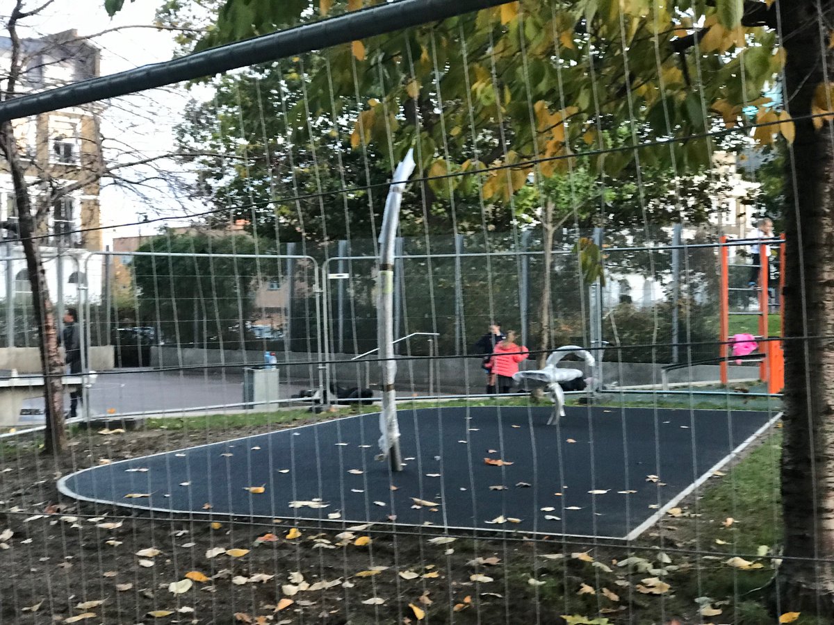 Why are we losing more green space in our parks to gym equipment? The council is investing £££ in rain gardens and greening road stubs but eroding our parks and green spaces with gyms and buildings 🤷🏻‍♀️