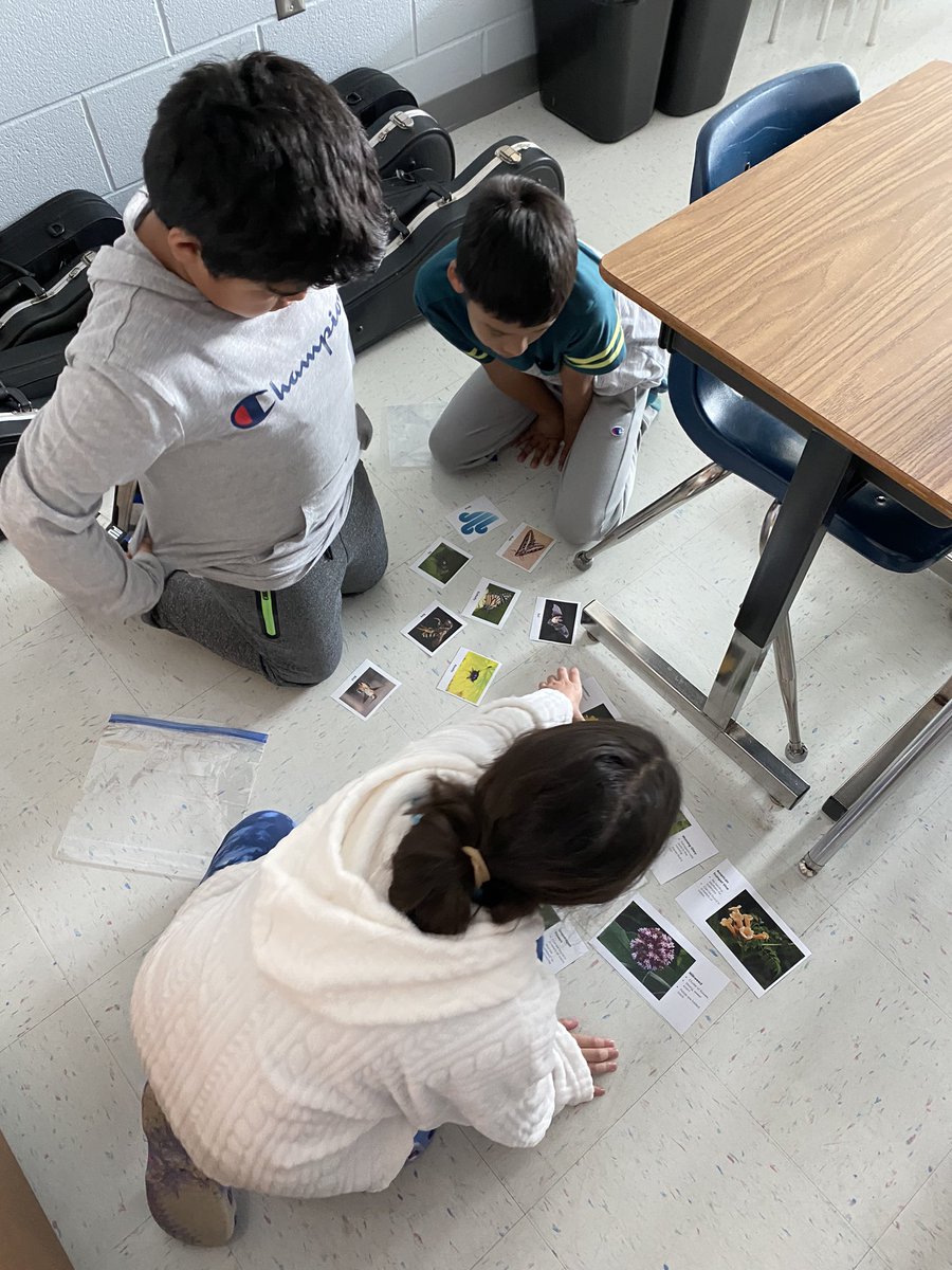 Mrs_Disheroon's tweet photo. 4th graders learning about pollinators!!
@HyblaValleyES #HyblaValleyHuskies https://t.co/hnmDB5VqhO
