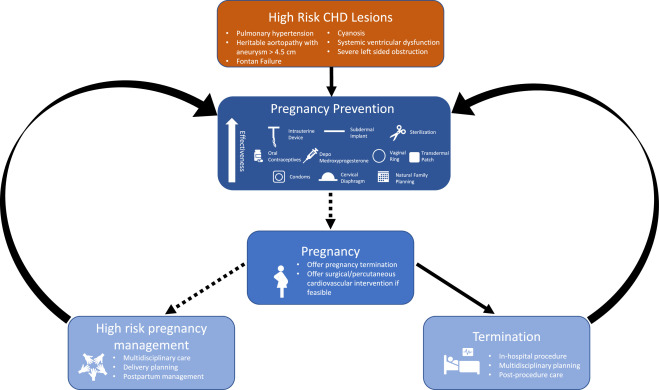 Kathryn Lindley (@drklindley) on Twitter photo Pregnancy and Adult Congenital Heart Disease in a Post-Roe World - Journal of Cardiac Failure
Great work <a href="/LindsayPanah/">Lindsay Panah, MD</a>! #cardioobstetrics
onlinejcf.com/article/S1071-… Pregnancy and Adult Congenital Heart Disease in a Post-Roe World - Journal of Cardiac Failure
Great work <a href="/LindsayPanah/">Lindsay Panah, MD</a>! #cardioobstetrics
onlinejcf.com/article/S1071-…