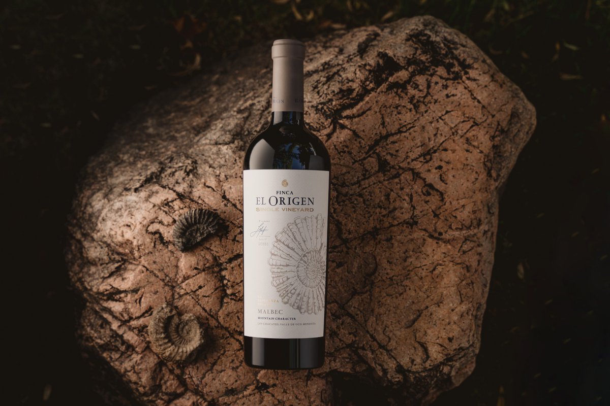 El mundo del Single Vineyard Malbec, un vino de intensidad aromática tentadora, con notas de vainilla, chocolate blanco, regaliz y frutas negras que contribuyen a su elegante complejidad. 🍷🌟

#FincaElOrigen #SingleVineyar #Malbec
