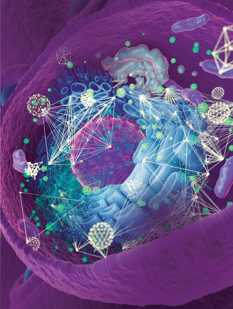 Michaelis_AC's tweet image. Protein interactions are the foundation of functional and healthy cells. We @labs_mann are proud that our work for mapping the cellular yeast #interactome on a global scale is now published @nature.

nature.com/articles/s4158…

yeast-interactome.org

#proteomics #massspectrometry