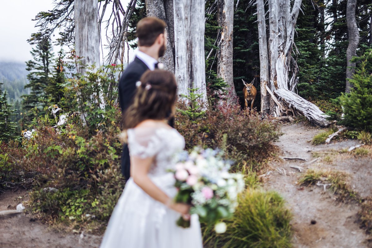 crawfordsphoto's tweet image. Some of our favorite places are receiving a beautiful coat of white snow and we are so pumped for the next season of winter elopements and fun!  

thecrawfordsphotography.com