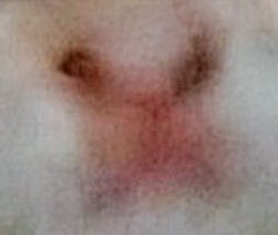 BibaFlan's tweet photo. cat? https://t.co/WSNaz2m2A3