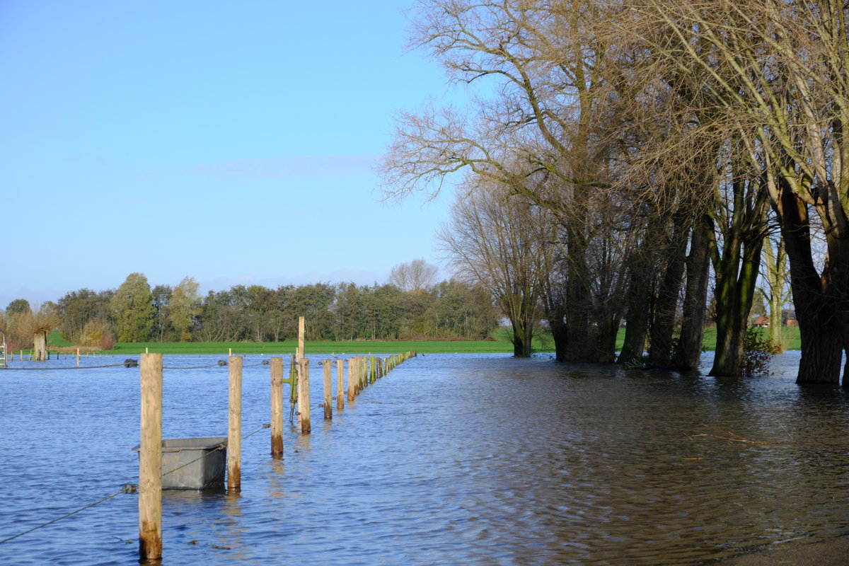 Bart_Vercaemer's tweet photo. Het was eens zonnig in ons dorpje.
Nee, niet Jommeke's Zonnedorp, maar in Watergem.
#landscapephotography #2020nd #naturephotography #photooftheday #photographydaily #travelphotography #iphonephotography #hobbyphotography #ig_landscape #picoftheday #gemeentedentergem #fujilandscape #westtoer #fall #igdentergem @gemeentedentergem #leiestreek #tree #trees #FocusWTV #smartphonephotography #fujifilm #fujifilm_xseries #fujifilmxt3 #fujifilmbelgium