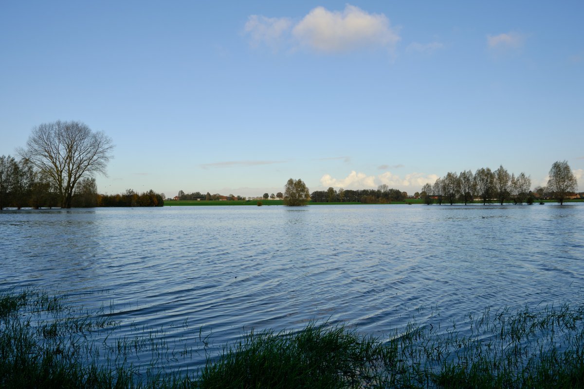 Bart_Vercaemer's tweet photo. Het was eens zonnig in ons dorpje.
Nee, niet Jommeke's Zonnedorp, maar in Watergem.
#landscapephotography #2020nd #naturephotography #photooftheday #photographydaily #travelphotography #iphonephotography #hobbyphotography #ig_landscape #picoftheday #gemeentedentergem #fujilandscape #westtoer #fall #igdentergem @gemeentedentergem #leiestreek #tree #trees #FocusWTV #smartphonephotography #fujifilm #fujifilm_xseries #fujifilmxt3 #fujifilmbelgium