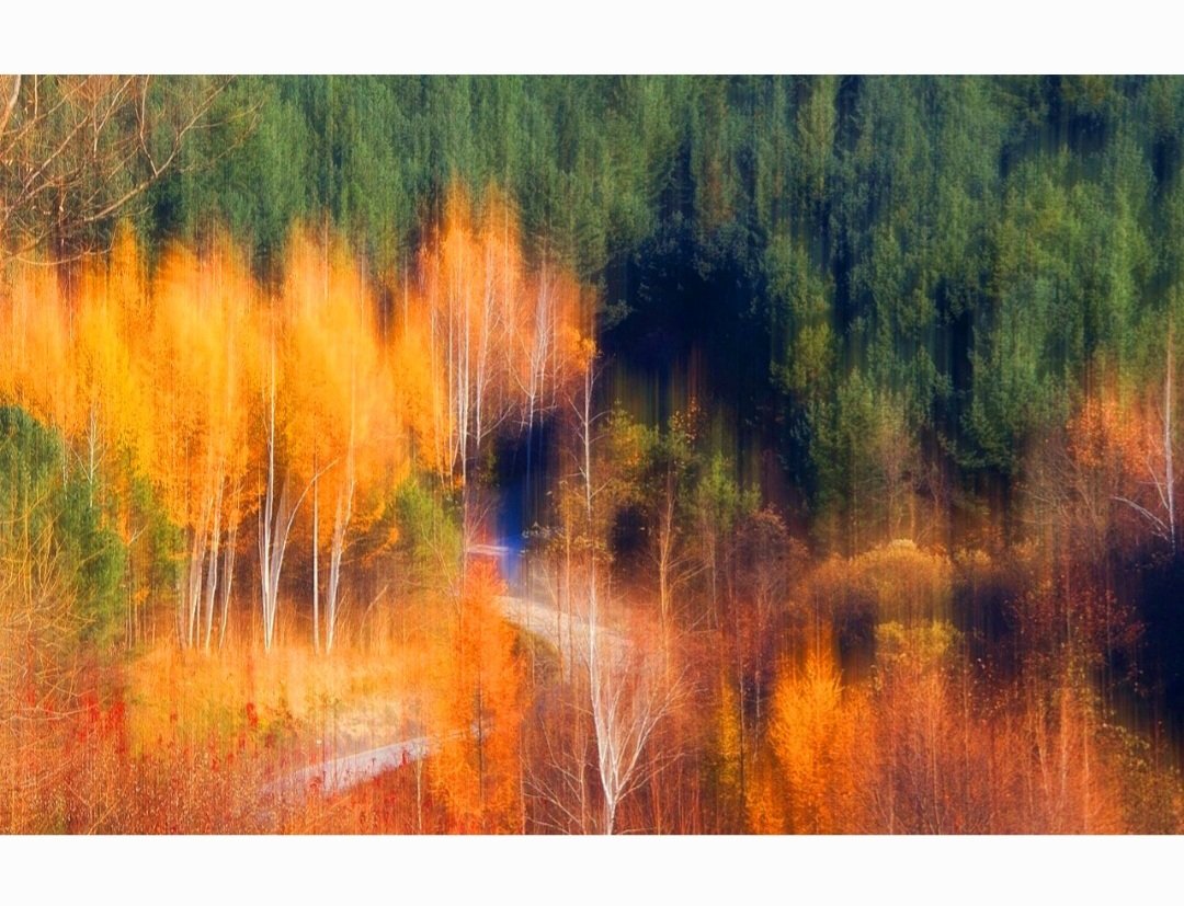 🎀 캠퍼 🎀 (@gimsejung7) on Twitter photo 