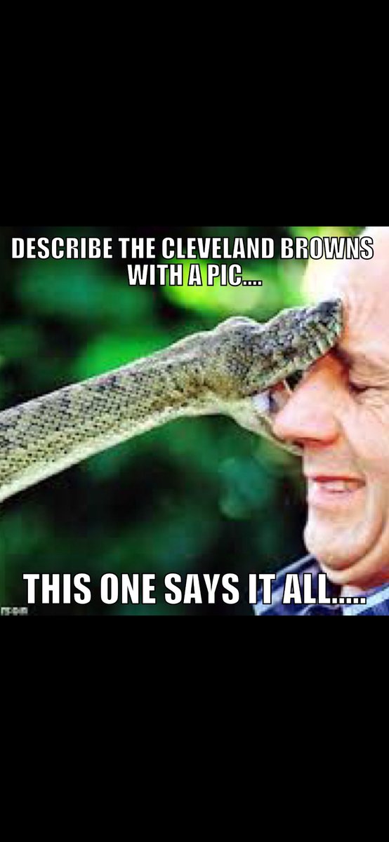 rochnybbkr's tweet photo. Haven’t posted in ages but this came to mind as a @ #Cleveland Browns fan… https://t.co/6paslYZDfD