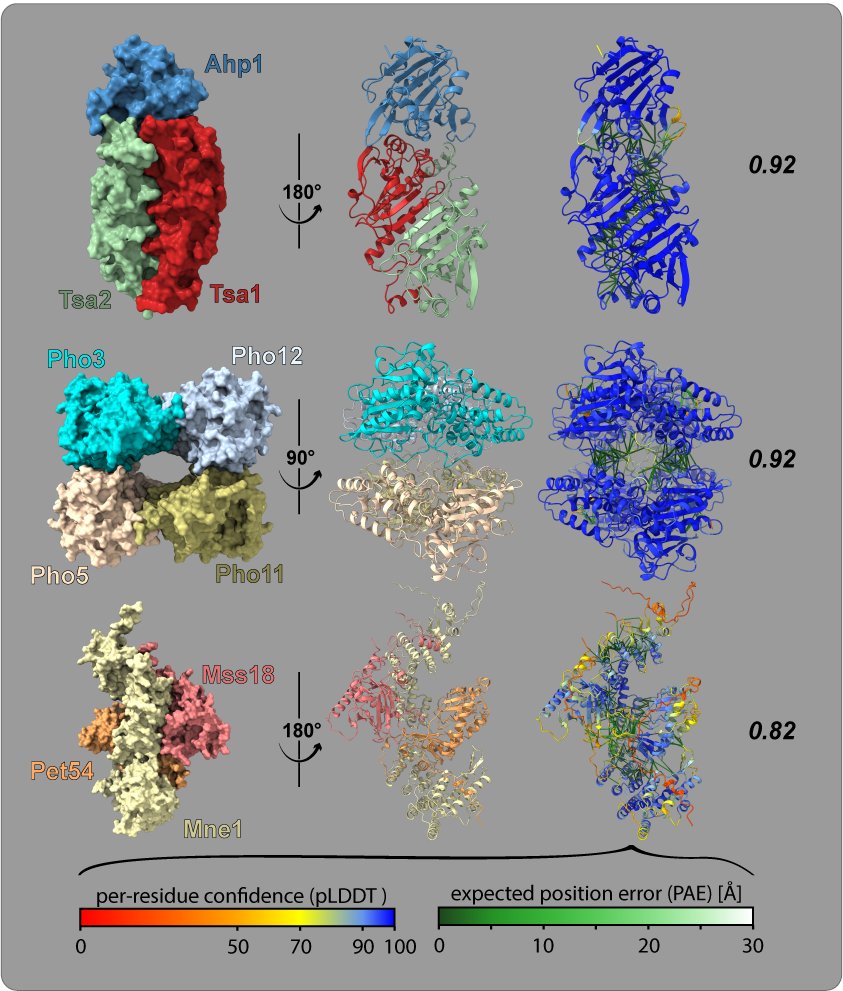 Our mapping of the cellular protein #interactome with unprecedented depth is now published @nature. Leaps in robust #proteomics and analytic workflows enabled us to perform over 4.000 pull-downs in yeast unraveling the social and structural aspects leveraging #alphafold multimer.