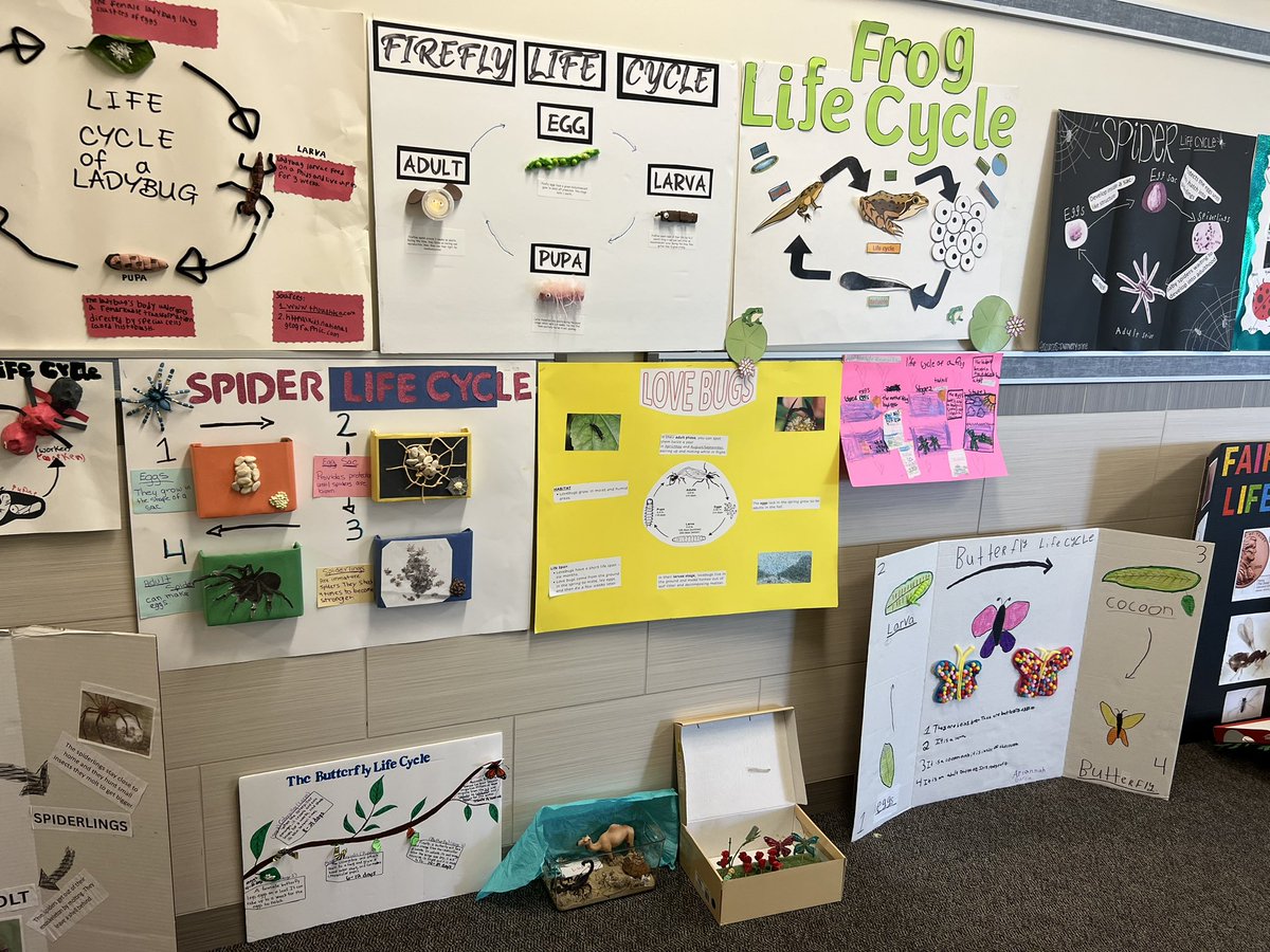 La Tonia Bellard-Jones M.Ed (@sinerla) on Twitter photo Scholars enjoyed learning about the lifecycles of bugs & insects. We’re closing with projects 🥰 #amazing#loverofscience#lifecycle <a href="/MrMolander/">Kevin Molander, M. Ed.</a> @MrsBarrios_RCE <a href="/HumbleISD_RCE/">Ridge Creek Elem</a> Scholars enjoyed learning about the lifecycles of bugs & insects. We’re closing with projects 🥰 #amazing#loverofscience#lifecycle <a href="/MrMolander/">Kevin Molander, M. Ed.</a> @MrsBarrios_RCE <a href="/HumbleISD_RCE/">Ridge Creek Elem</a>