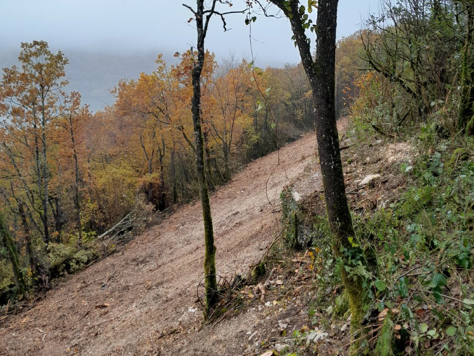 [1/2]🌲🔥 Dans le cadre de la mise en œuvre opérationnelle du plan d’action de lutte contre les feux de #forêt, un chantier de débroussaillement a été réalisé la semaine dernière sur la commune de #Maisod, sous la supervision de l'@ONF_Officiel .