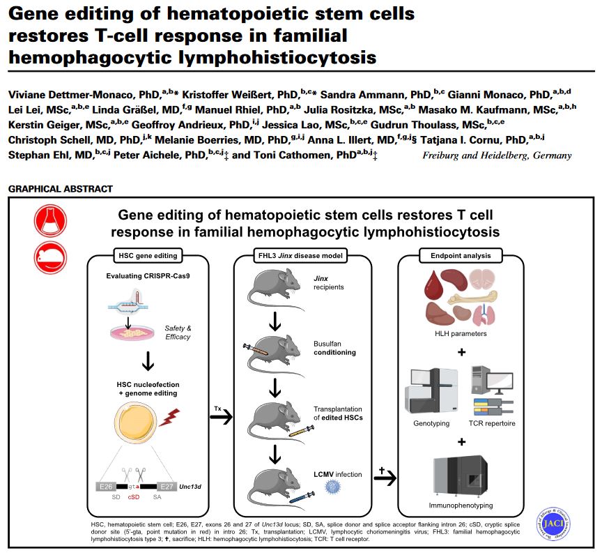 DGGTeV's tweet photo. We are delighted to award Viviane Dettmer-Monaco and Kristoffer Weißert with the #DGGTeV #PaperoftheQuarter #2023Q3 #Award #1/3 for their #GeneTherapy Proof of concept to treat #HLH with Cas9-edited HSCs
@UniFreiburg @Uniklinik_Fr
Conragtulations!
More: https://t.co/9UoPvpUwq3 https://t.co/DFZBv5krXY