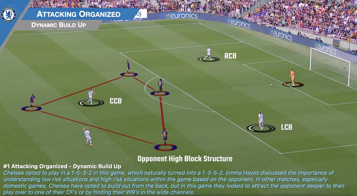 Sarah Lowdon tweet media