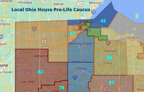 HumanistsWLE's tweet image. SHoWLE is Disappointed @Williams4ohio @DerekMerrin and @clickforohio  Want To Subvert The Will Of The Voters. Read our press release humanistswle.org/2023/prolife_c…