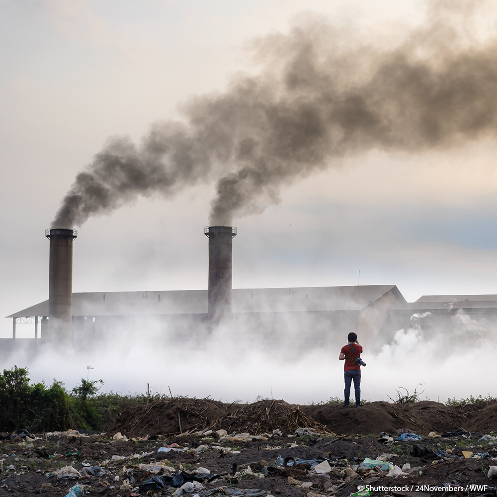 World_Wildlife's tweet photo. A brief look at the history of carbon in our atmosphere and how the relationship between human activity and the dramatically increased amount of carbon in the atmosphere is undeniable. 

Read more: https://t.co/VUu66UHqVz. https://t.co/Fe0Pjmye8q