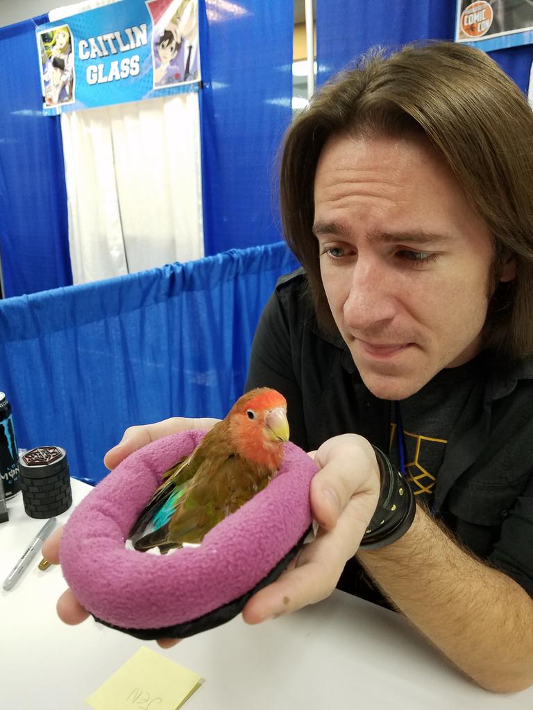 birdhism's tweet photo. 🐦⬛Nov. 15th is HAPPY BIRD DAY! 🐦In honor of Saint Cody's Birthday, your job is to spoil any and all birds to the best of your ability! Do something to make a bird happy today in honor of #DEMCHEEKS. 💖 #happybirdday https://t.co/Dud4ZjtQNe