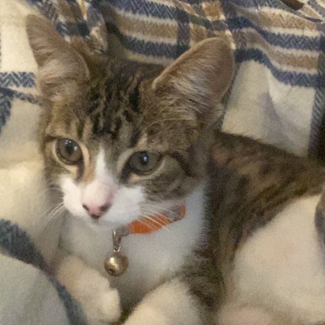 catboycarI's tweet photo. https://t.co/ZYejkl6pjd