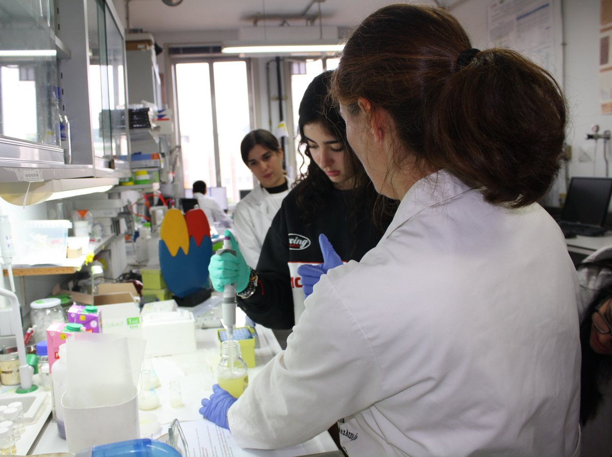franciscoplou's tweet photo. Más de 200 alumnos de ESO y Bachillerato han realizado en nuestro laboratorio del @ICP_CSIC el taller «Enzimas y Lactosa»  dentro de las actividades de la #SemanaDeLaCiencia en la @ComunidadMadrid 
Esperamos haber contribuido a despertar su interés por la ciencia 👩‍🔬
@CSICdivulga https://t.co/wy5tc4zPIJ