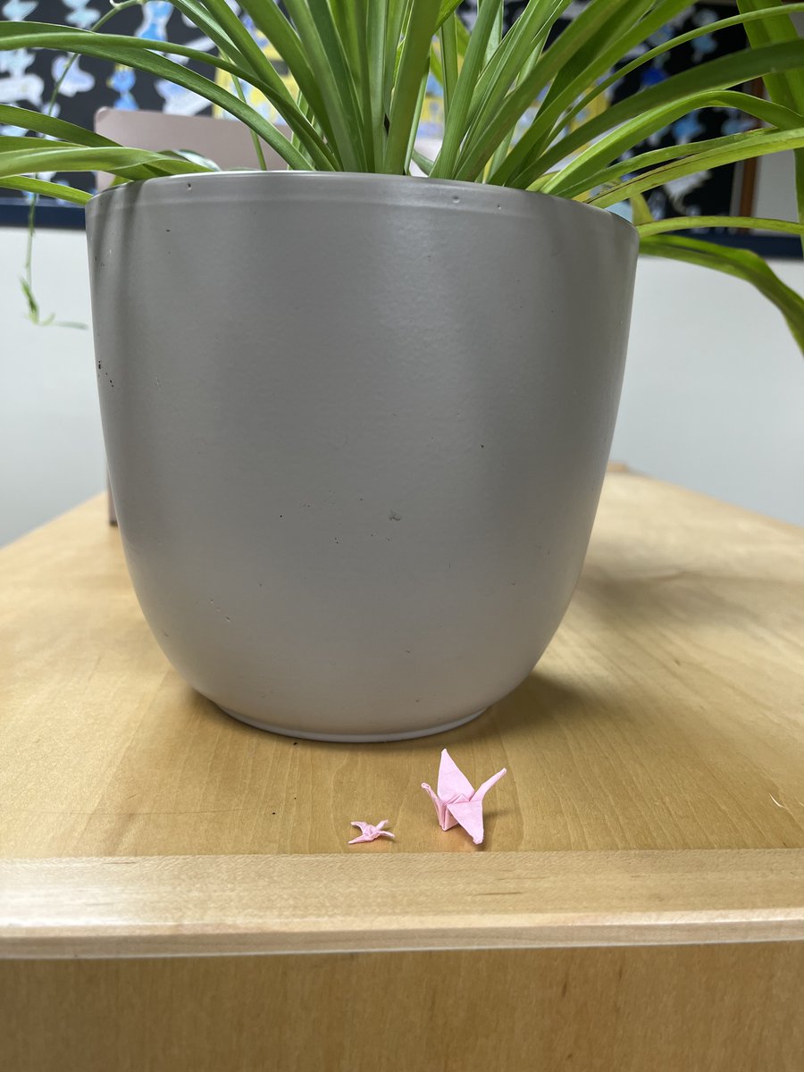 NiakwaL's tweet photo. Most cranes were made out of recycled magazine pages, but some students found scrap paper to be their favourite medium. Those teeny tiny papers made some teeny tiny cranes. https://t.co/E3eNQnx847