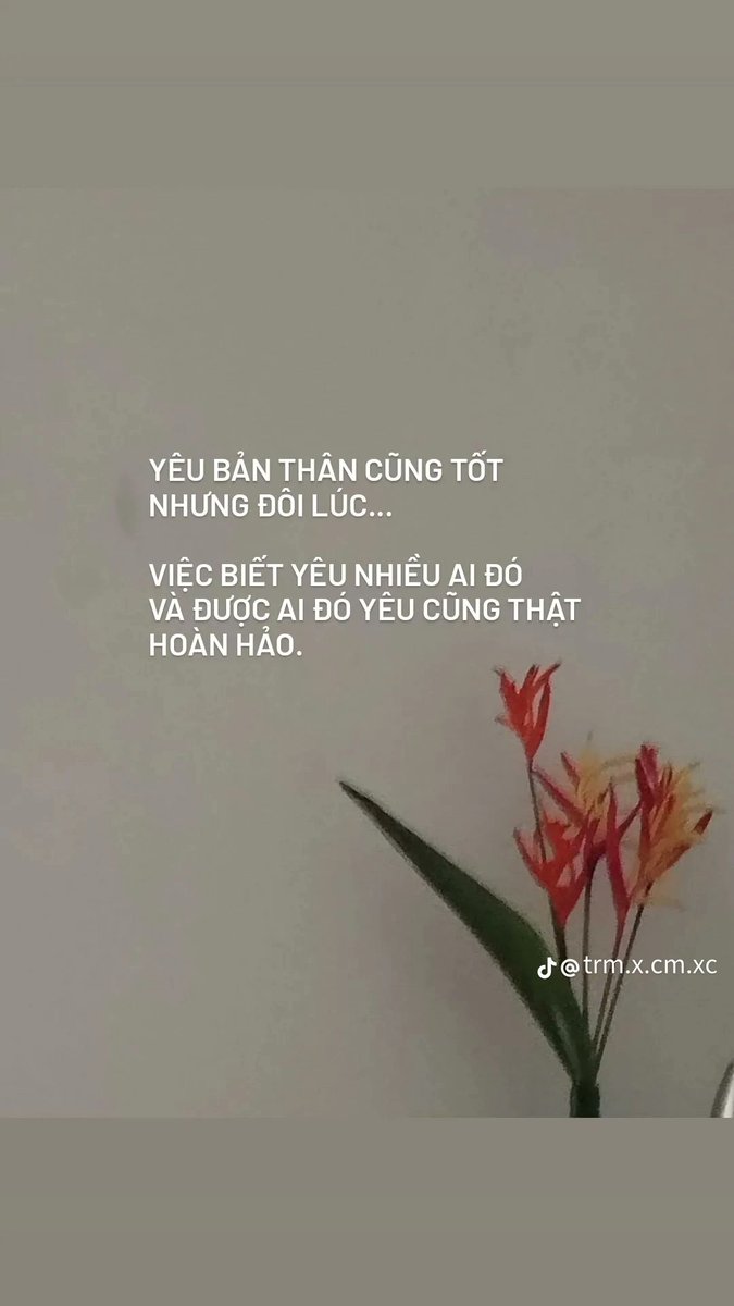 00TraMy's tweet photo. https://t.co/c6731S81sZ