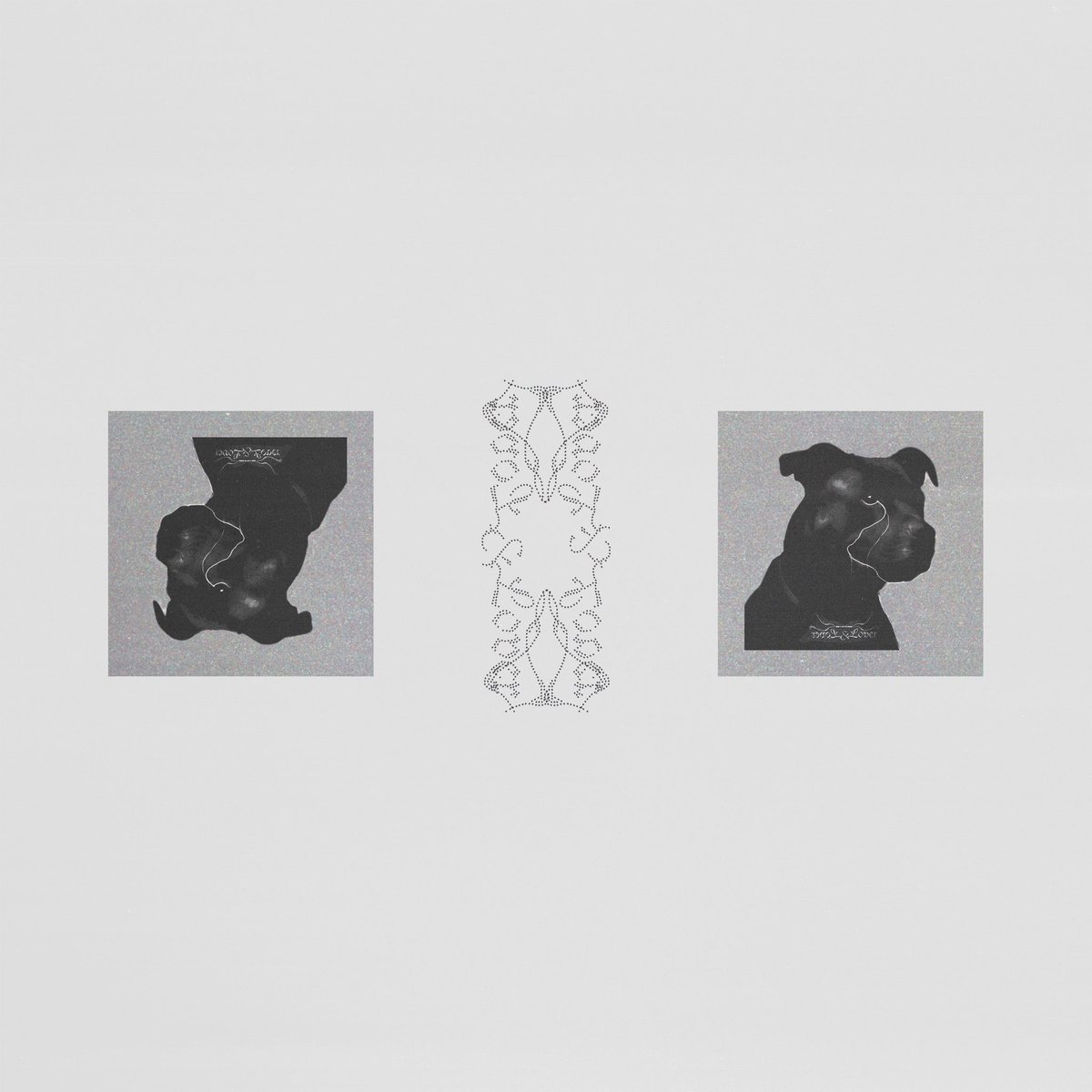 Lover &amp; Lover prt.2