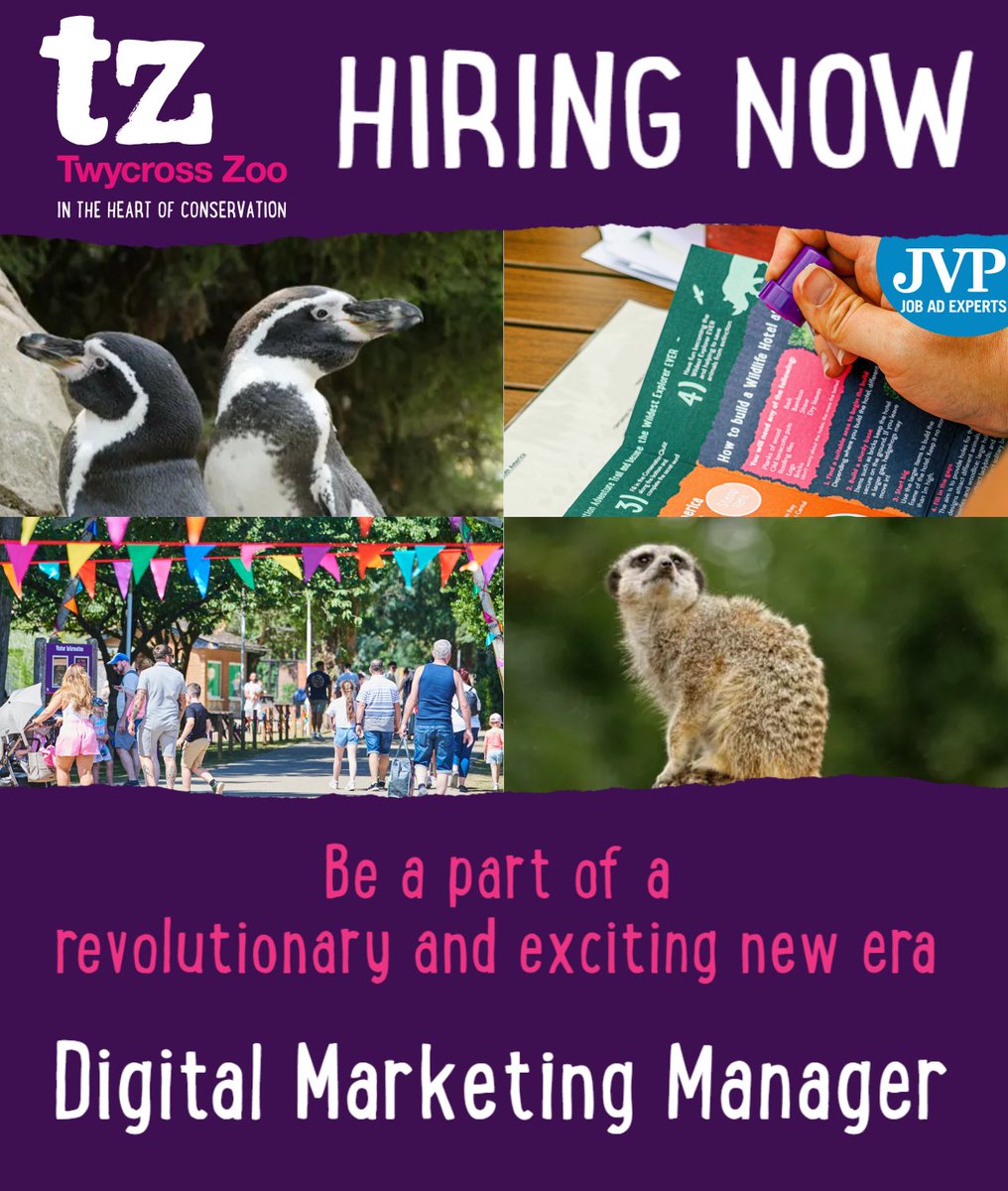 JobsinTourismUK's tweet photo. Play a vital role in developing an ambitious new digital marketing strategy with Twycross Zoo, in a role where you can make a real impact on the future of the zoo.

https://t.co/kWpPP43VQu

#JobsinZoos #JobsinTourism #MarketingJobs #JobsinMarketing #Warwickshire https://t.co/B1ftd0n9cP