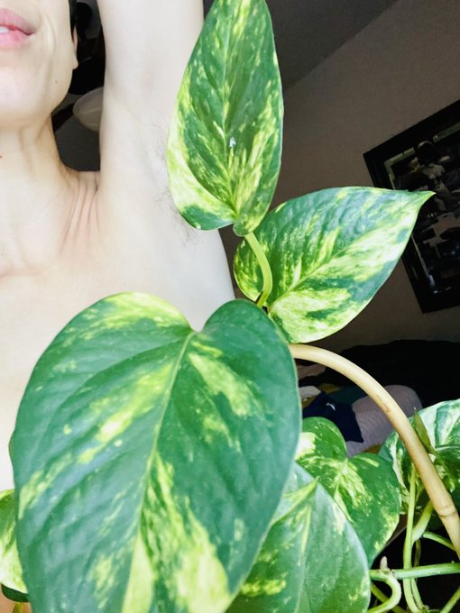 Someone come smell my armpits. right. now. https://t.co/093VG7m5Wq