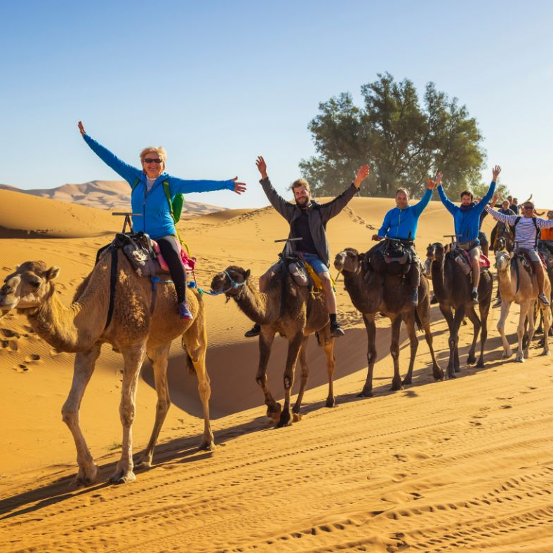 AuthenticSahara's tweet photo. @flyawaycouple Discover the beauty of Morocco's deserts with Authentic Sahara Tours for a trip that will undoubtedly be etched in your memory. https://t.co/r0hREIP71R