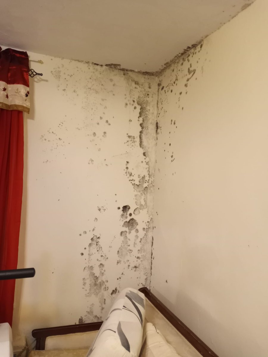 Our client can't quite call this a 'livingroom' when not much 'living' can be done. For months, this family has lived with an unaddressed mold situation that wreaked havoc on their health. Some call this the city where dreams come true. We call it a city in crisis.