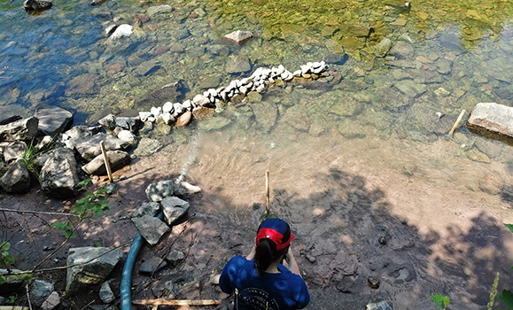 Wild Atlantic salmon and fish friends are cooling off in thermal refuges created by Dal engineers during lengthy trek to spawning grounds in rivers that are becoming warmer and less hospitable to cold-loving species: bit.ly/47vU5sE