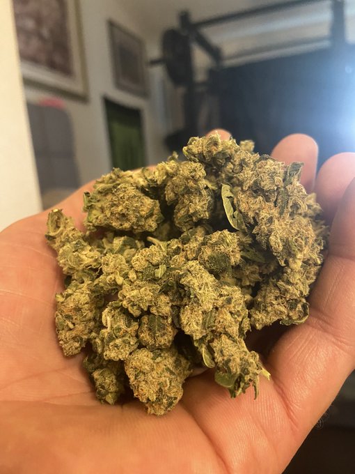 Let me know if you need a hand. https://t.co/a45wkWFyaD<a href="/tag/mvsales"class="tags"><span>#mvsales</span></a>