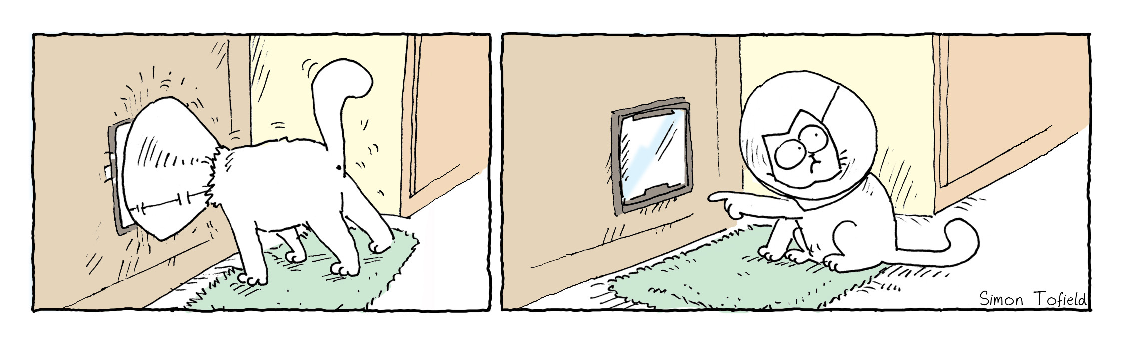 Simon's Cat has a problem (wearing a cone around his head and can't get out of the cat door).