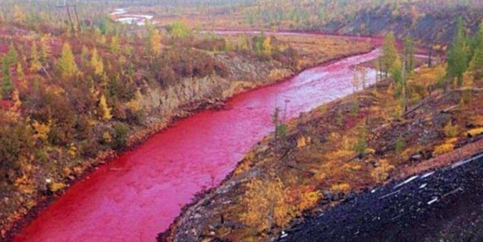 liliayala8789's tweet photo. ¿El Río Nilo en rojo😯? ¿Presagio Bíblico o Causa Natural? Descúbrelo aquí 👇👇👇👇👇
https://t.co/EcTguYe8tG
#RioNilo
#Biblia
#AlgasRojas
#Egipto
#viral2023 https://t.co/xrJ8LIrzPT