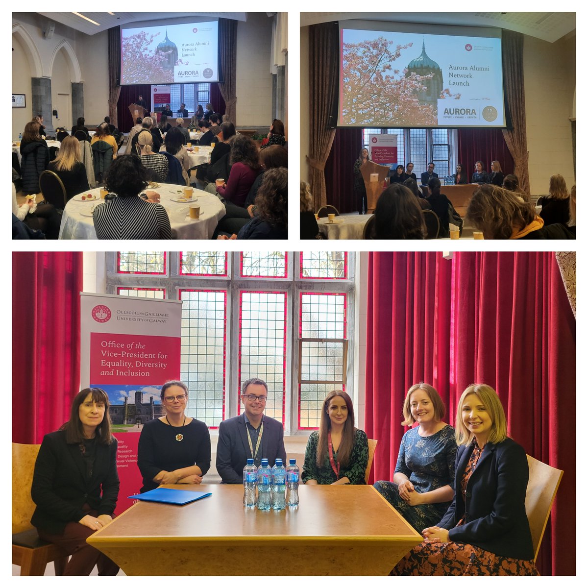 University of Galway EDI (@edi_uniofgalway) on Twitter photo <a href="/uniofgalway/">Ollscoil na Gaillimhe | University of Galway</a>'s Aurora Alumni Network was launched yesterday. 150 staff in our University have now been involved in this women's leadership programme. This Network will be an opportunity for Aurorans to continue their leadership development while networking with likeminded women. <a href="/uniofgalway/">Ollscoil na Gaillimhe | University of Galway</a>'s Aurora Alumni Network was launched yesterday. 150 staff in our University have now been involved in this women's leadership programme. This Network will be an opportunity for Aurorans to continue their leadership development while networking with likeminded women.