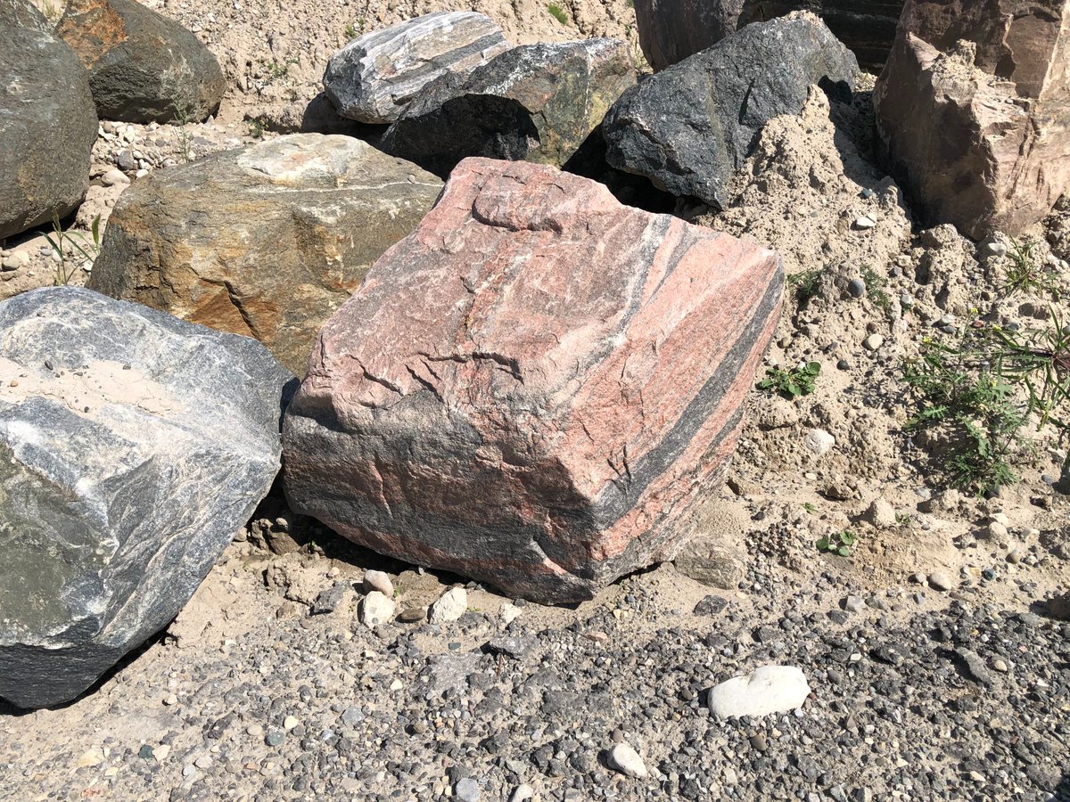 Earth Sciences Museum tweet media