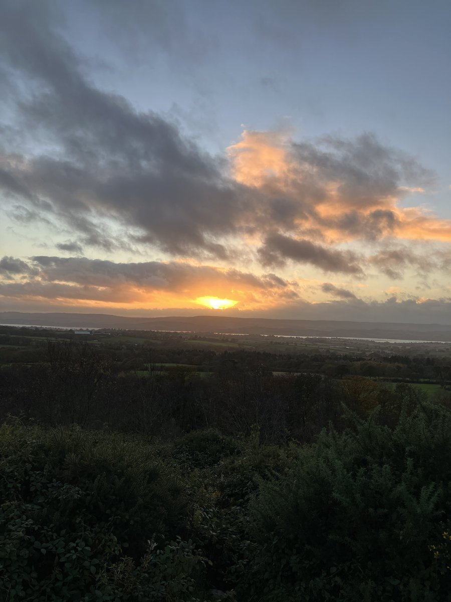 SEDwildlife's tweet photo. Yesterdays winter sunset at Estuary View on the Pebblebed Heaths @PebblebedHeaths
Don’t forget to take your 🔦 when you’re walking the dog 🐕 apart from lighting your way, it’ll also help you when you’re picking up their poo 💩
#devonlovesdogs #dogwalks #wintersunset https://t.co/XRABPjEGMj