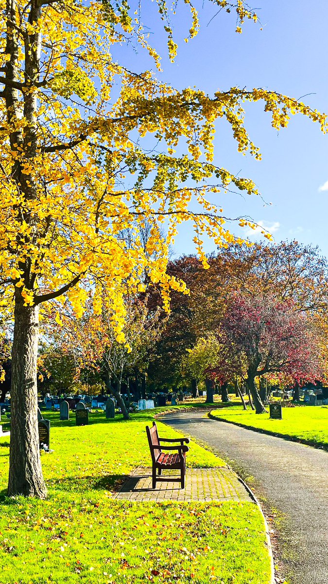 MojoPhotograph's tweet photo. Autumn colours galore just keeps on giving! 🩷❤️🧡💛 #photography #AutumBeauty #ColoursGalore https://t.co/pXCfg1Aiyf