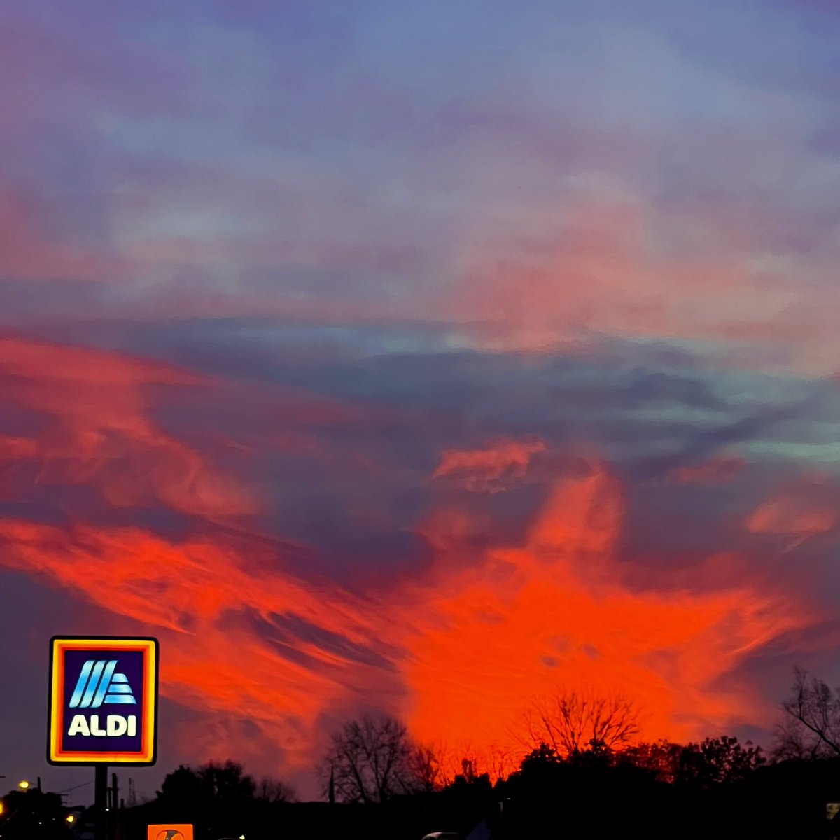 Aldi Apocalypse