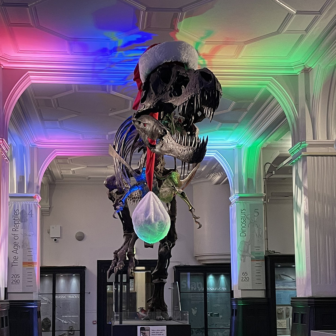 Stanta Claus is coming to town! Our beloved T. rex, Stan, will put his hat on and deliver festive gifts to people across Manchester next month. Stan’s Secret Santa is our Christmas gift appeal, supporting charities @BarnabusMcr and @MustardTreeMCR. museum.manchester.ac.uk/event/stans-se…