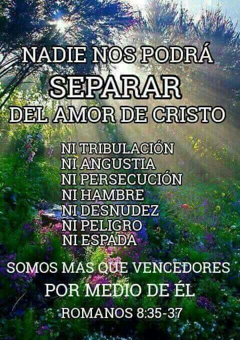 Lydia Esther tweet media